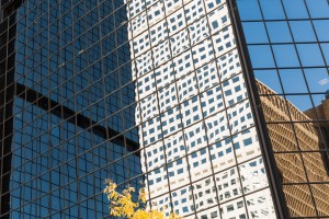 American Reflections shows a 35mm digital colour photo of reflections of office buildings in large glazed windows in bright sunshine.