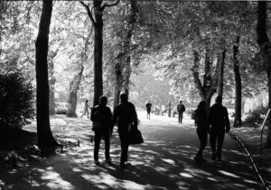 Summer in Dublin is a 35mm B&W film image of St Stephen's Green, Dublin, showing silhouetted strollers in the sunshine and shade of a fine Summer's day