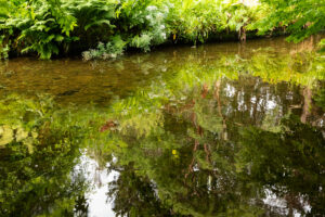 A 35mm digital colour photo image of the Vartry River flowing through the Mount Usher Gardens, Co Wicklow.