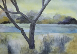 A Waterford Landscape depicts watercolour on Arches paper of a landscape with detail of a tree in Co Waterford, Ireland