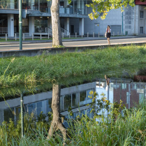 Recent Photos shows a 35mm digital colour image of reflections in the Grand Canal in Dublin on a sunny day with a solitary woman walk along the canal bank.