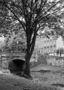 Some Recent Additions shows a 35mm B&W Film image of the Grand Canal and a bridge in Dublin City